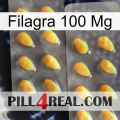 Filagra 100Mg cialis2